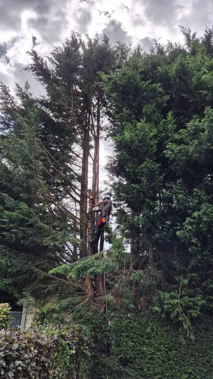 Rope access klimmen